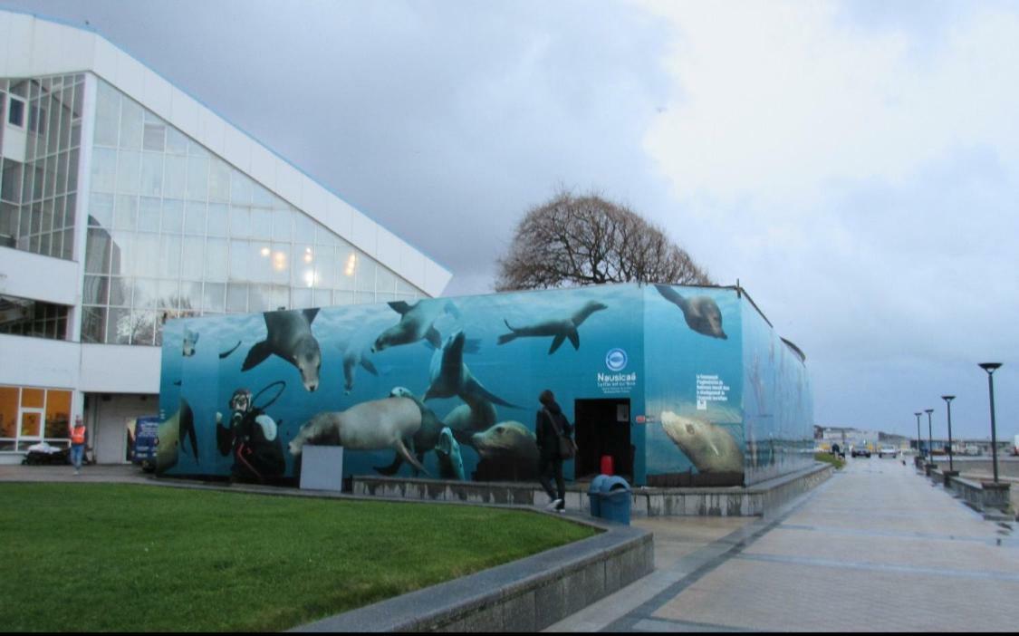 Aux Pieds De La Cathedrale Lägenhet Boulogne-sur-Mer Exteriör bild