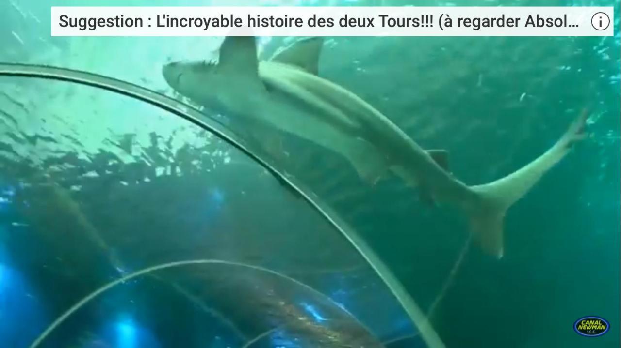 Aux Pieds De La Cathedrale Lägenhet Boulogne-sur-Mer Exteriör bild